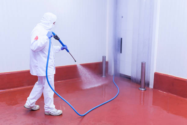 Professional Pressure Washing in Van Vleck, TX