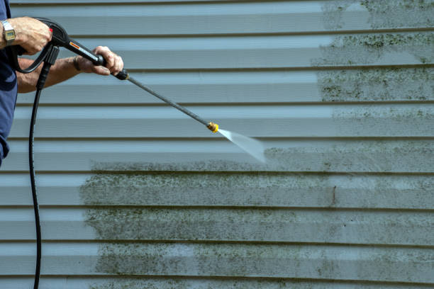 Best Sidewalk and Walkway Cleaning  in Van Vleck, TX