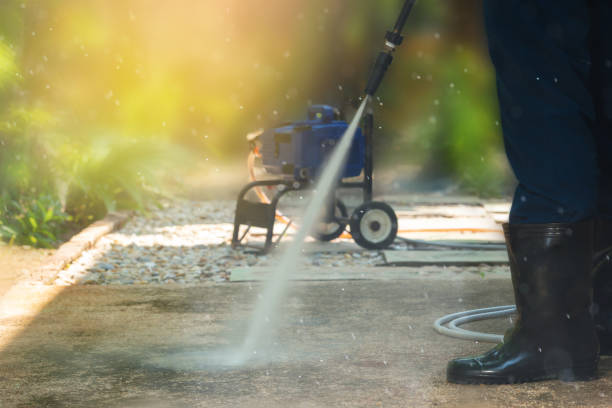 Best Driveway Pressure Washing  in Van Vleck, TX